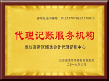 代理記賬服務(wù)機(jī)構(gòu)資質(zhì)